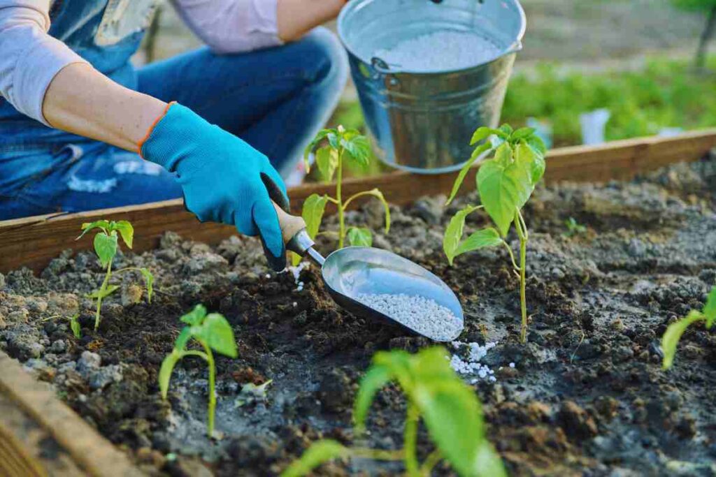 Scopri l'Oro Verde: il Fertilizzante Fatto in Casa